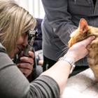 Parkville Animal Hospital