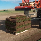 Blue Ribbon Sod