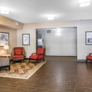 Comfort Inn South Chesterfield - Colonial Heights - Motels