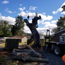 Scott Lanes Tree Service - Tree Service