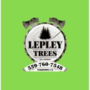 Lepley Trees - Christmas Trees