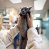 VCA TLC Animal Hospital gallery