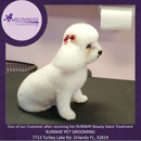 Runway Pet Grooming Inc - Pet Grooming