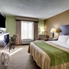 Comfort Inn Pearl-Jackson