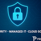 Principal IT Consultants