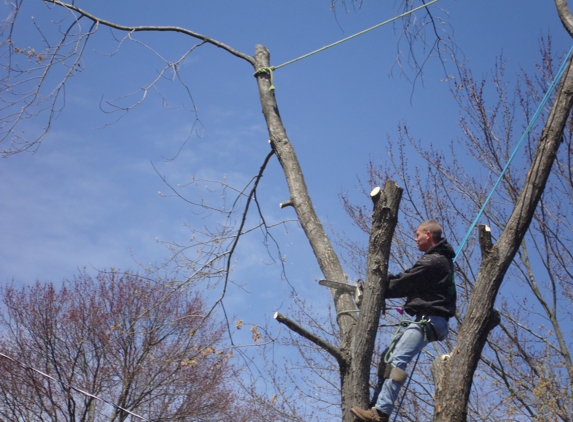 Black's Tree And Landscape - Quakertown, PA