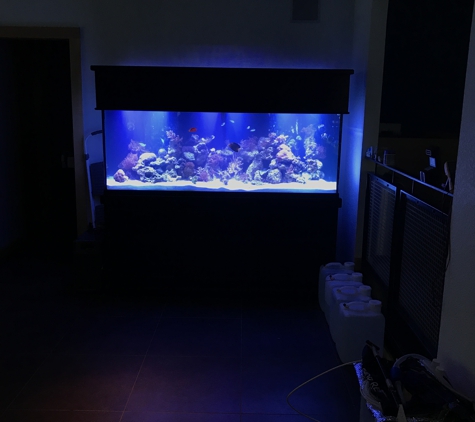 My Aquarium Guy, LLC - Allen, TX