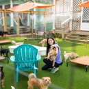 20th-Street-Grooming-And-Doggie-Daycare - Pet Stores