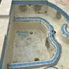 Alligator Pool Services gallery