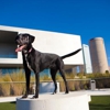 Mom's Mutt Mansion and Mobile Makeovers gallery