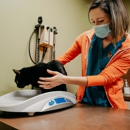 Festival Bel Air Veterinary Clinic - Pet Grooming