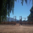 Aspen Equestrian Center - Horse Dealers