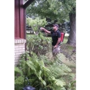 Blackhawk Pest Control - Pest Control Services