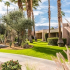 Desert Isle of Palm Springs