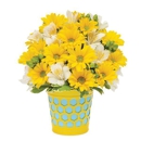 Preston Flowers - Flowers, Plants & Trees-Silk, Dried, Etc.-Retail