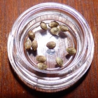 Full Spectrum Seeds