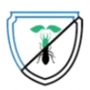 Boston Best Pest Control gallery