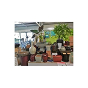 Gallery Image Number 5