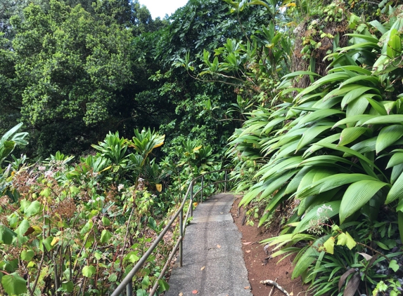 Wahiawa Botanical Garden - Wahiawa, HI