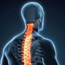 Brown Chiropractic - Chiropractors & Chiropractic Services