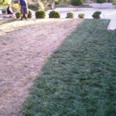 instantGreen Grass - Landscape Designers & Consultants