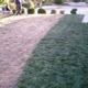 instantGreen Grass