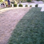 instantGreen Grass