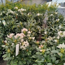 Kurtz Bros. Mulch & Soils - Crushed Stone