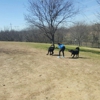 Frisco Dog Park gallery