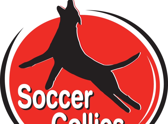 Soccer Dogs - Ocala, FL