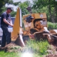 Sprague's Stump Grinding & Removal