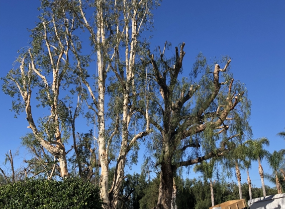 Escalante Tree Service