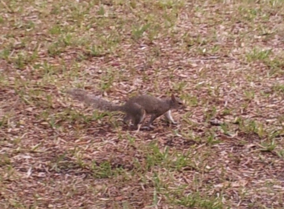 The Children's Garden - Sarasota, FL