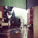 UCLA Fielding School of Public Health - Physicians & Surgeons