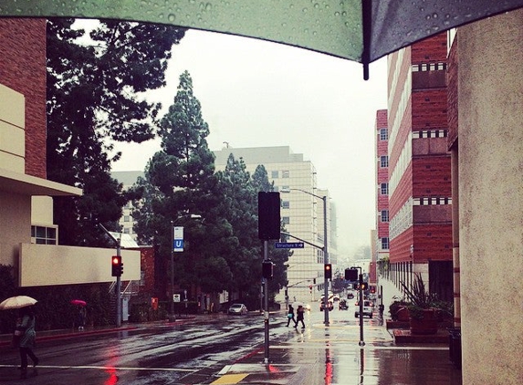 UCLA Fielding School of Public Health - Los Angeles, CA