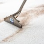 Zerorez Carpet Cleaning Louisville