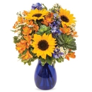 Fuzion Flowers P - General Merchandise