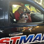 Pestman Termite and Pest Control