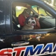 Pestman Termite and Pest Control