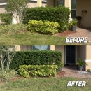 Evolution Landscapers - Landscape Designers & Consultants