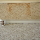 Budget Carpet Cleaning - Upholstery Cleaners
