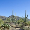 Discover Marana Visitor Center gallery