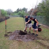 The Garden Gnome Landscaping gallery