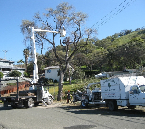 Marvin's Garden Tree Services - Willits, CA