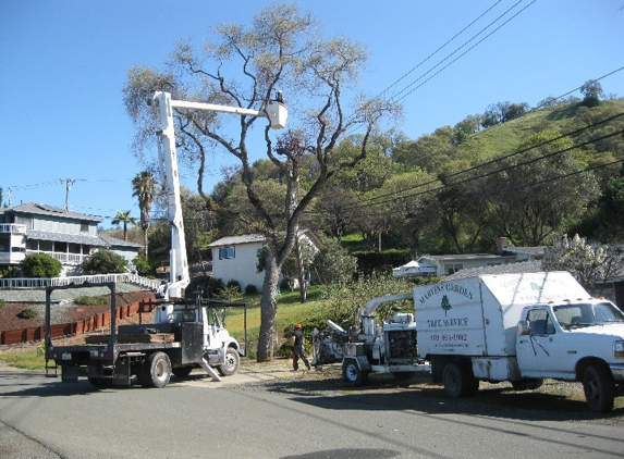 Marvins Garden Tree Service - Willits, CA