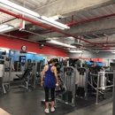 Blink Fitness - Exercise & Physical Fitness Programs