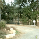 Irish Rose Farms - Horse Training