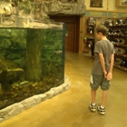 Cabela's