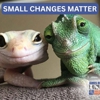 James River Animal Hospital gallery