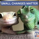 James River Animal Hospital - Pet Services